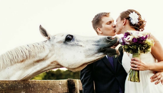 12 wedding photos that were ruined by some brute