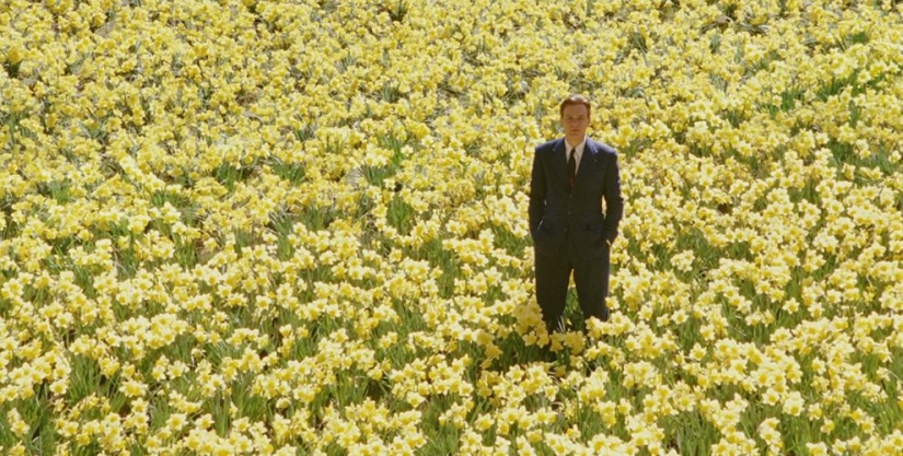 127 of the most beautiful frames in the history of cinema