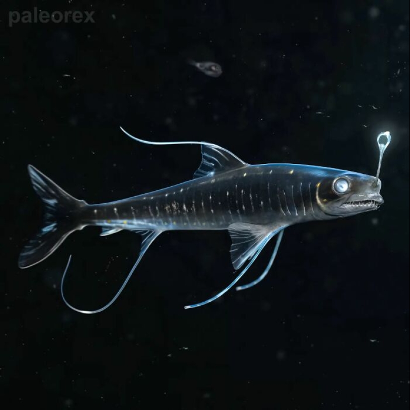 13 Captivating Speculative Evolutions Of Animals By Paleorex - Pictolic