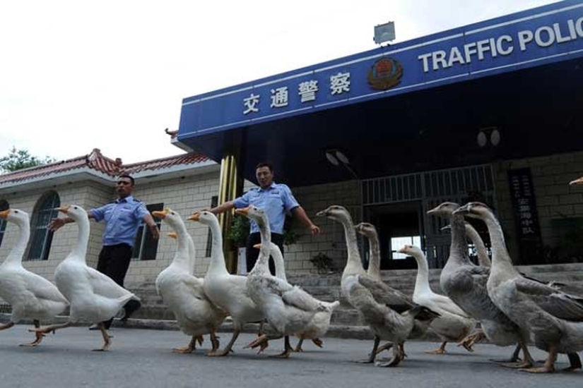 13 Chinese customs that are shocking to foreigners