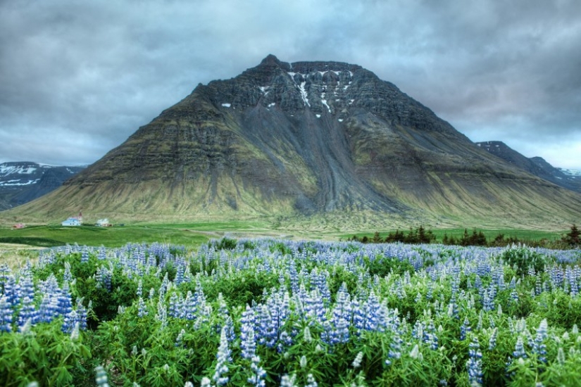 13 datos asombrosos sobre Islandia que ni siquiera conocías