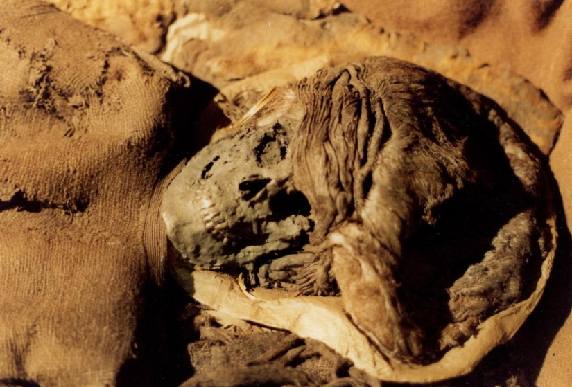 13 la más terrible de las momias de el mundo