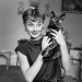 13 Vintage Photos Of Cats That Show Nothing Has Changed In Decades, Collected By This Journalist