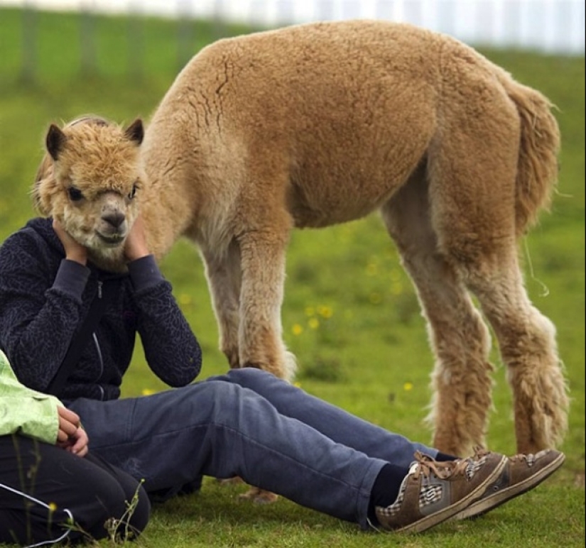 14 fotos tomadas completamente por casualidad en el momento perfecto