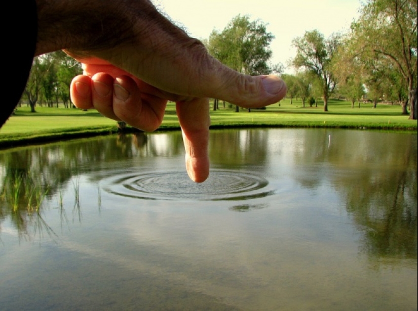 14 fotos tomadas completamente por casualidad en el momento perfecto