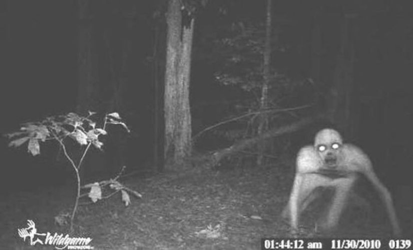 14 of the most eerie shots from hunting night vision cameras