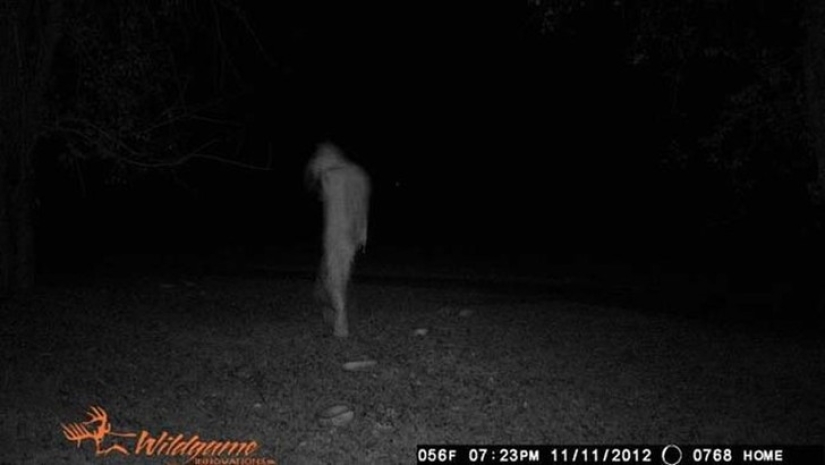 14 of the most eerie shots from hunting night vision cameras