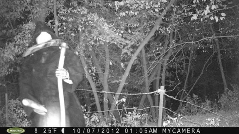 14 of the most eerie shots from hunting night vision cameras