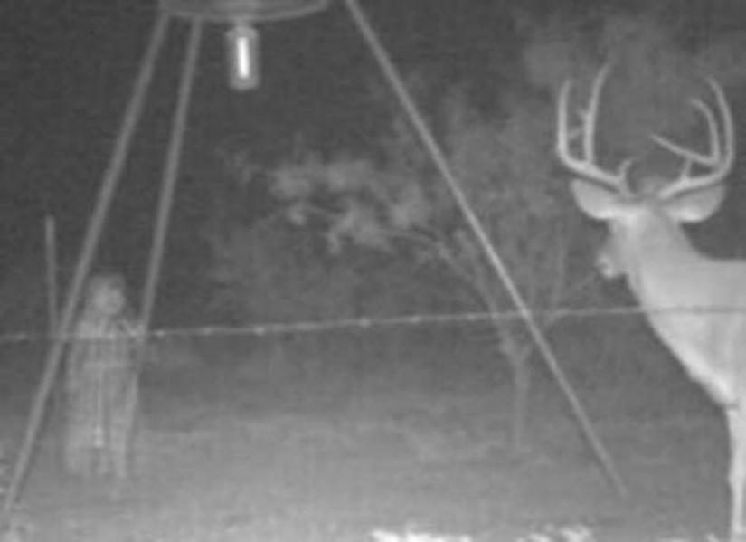 14 of the most eerie shots from hunting night vision cameras