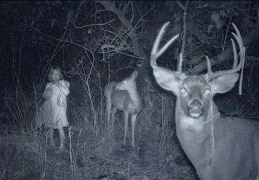 14 of the most eerie shots from hunting night vision cameras