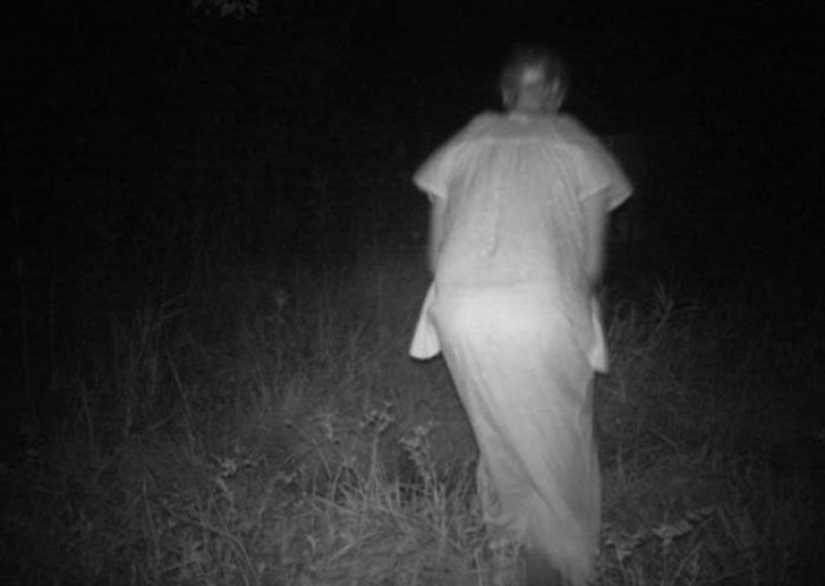 14 of the most eerie shots from hunting night vision cameras