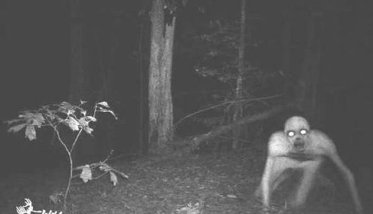 14 of the most eerie shots from hunting night vision cameras