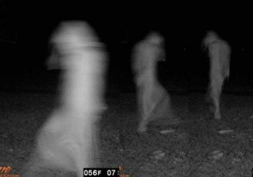 14 of the most eerie shots from hunting night vision cameras