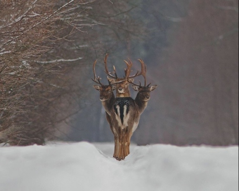 14 photos taken completely by chance at the perfect moment