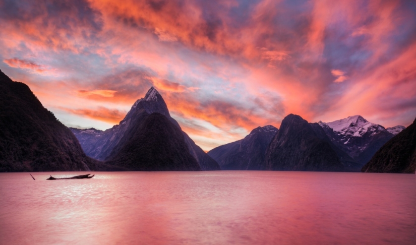 14 photos with which you will discover the magical nature of New Zealand