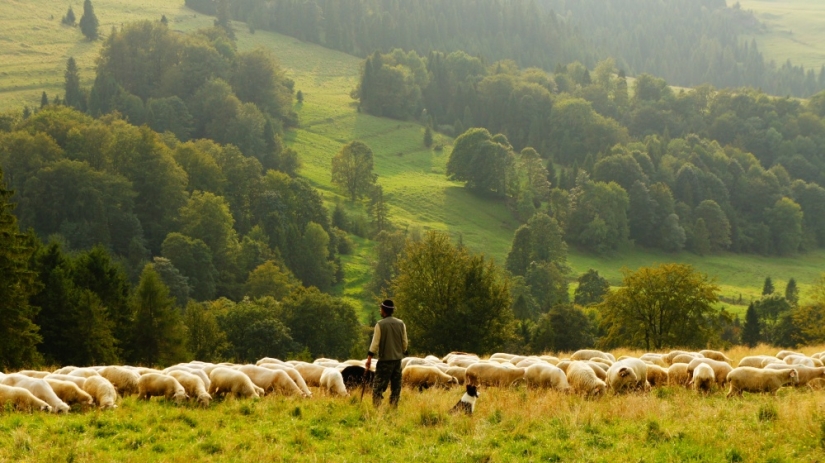 14 photos with which you will discover the magical nature of New Zealand