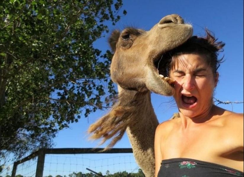 15 animales descarriados que no quieren ser fotografiados