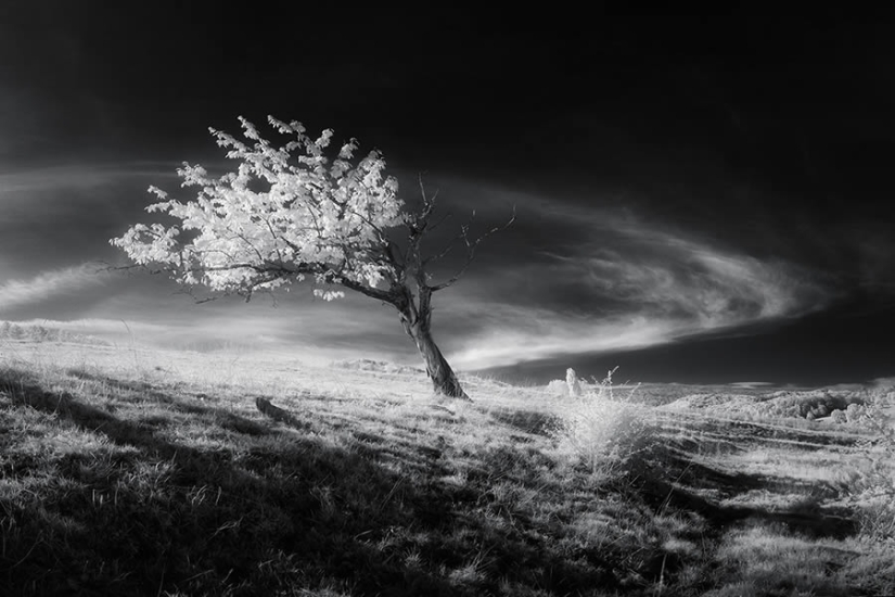 15 Beautiful Landscape-Winning Photos From The Fine Art Photography Awards 2024