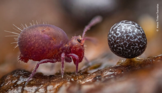 15 Best Wildlife Photographs Of 2024 As Announced By Natural History Museum