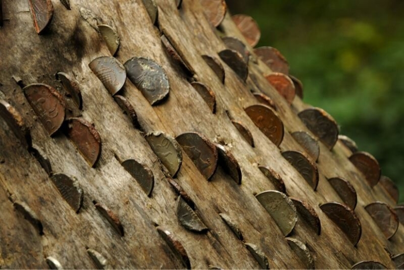 15 coin trees, or nightmares numismatists