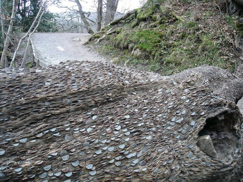 15 coin trees, or nightmares numismatists