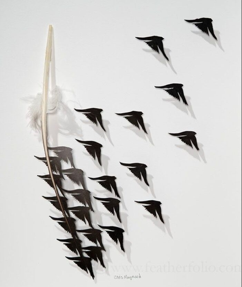 15 delicadas obras de arte hechas con plumas talladas por este artista