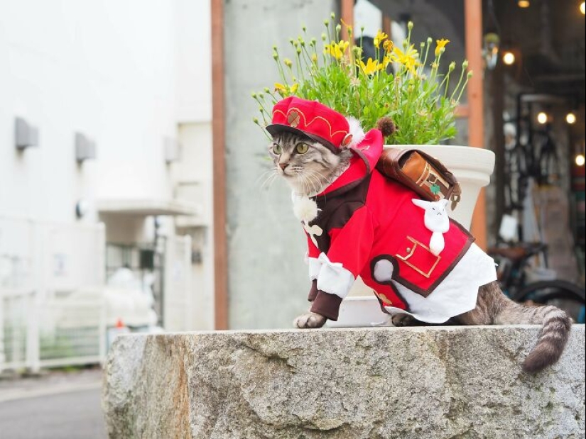 15 disfraces hechos a mano que este chico creó para los cosplays de sus gatos