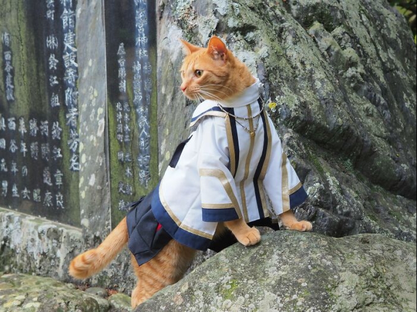 15 disfraces hechos a mano que este chico creó para los cosplays de sus gatos