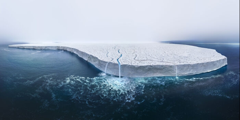 15 fascinantes fotografías del fotógrafo de vida silvestre del año 2024