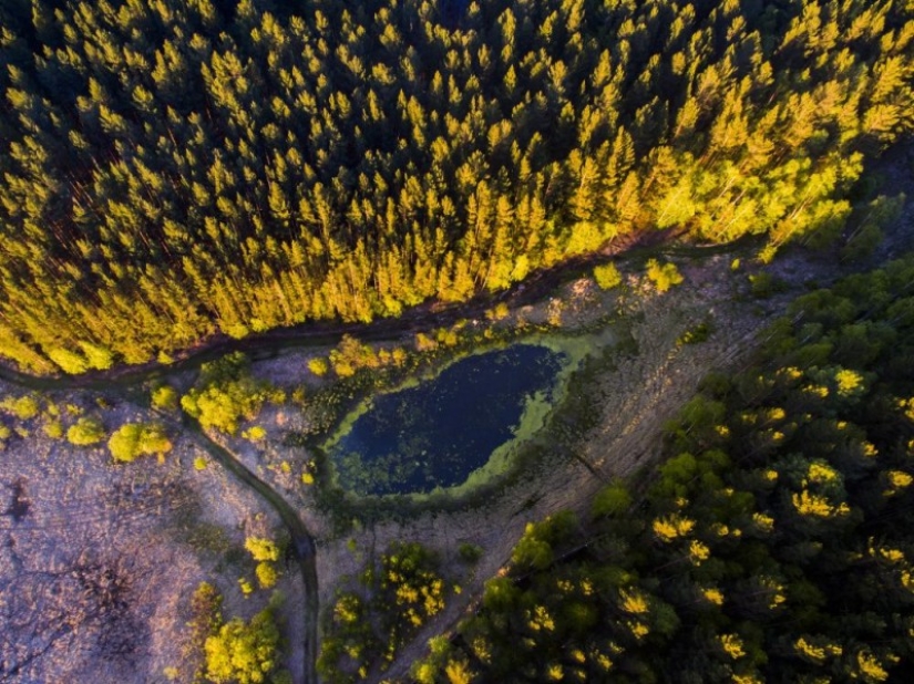 15 fotografías sobre la naturaleza salvaje: lo más desconocido del mundo