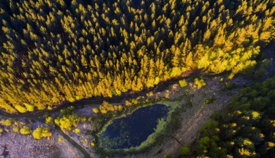 15 fotografías sobre la naturaleza salvaje: lo más desconocido del mundo