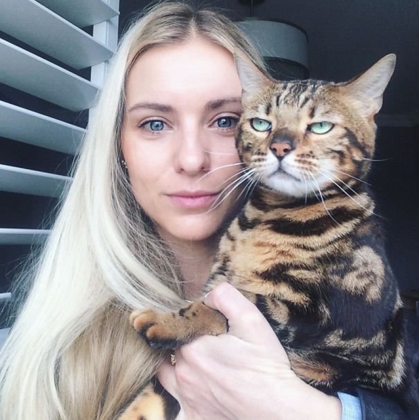 15 gatos que odian a los selfies con la gente