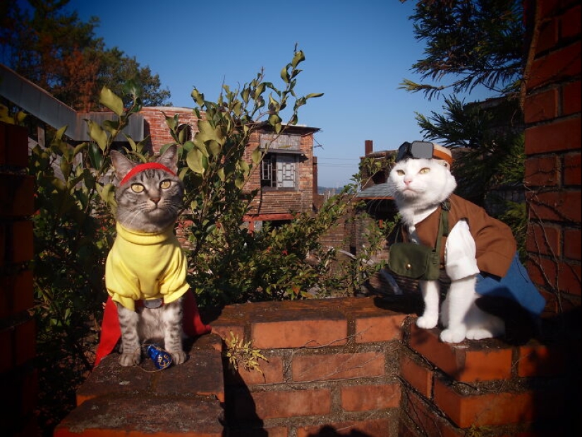 15 Handmade Costumes That This Guy Created For His Cats’ Cosplays