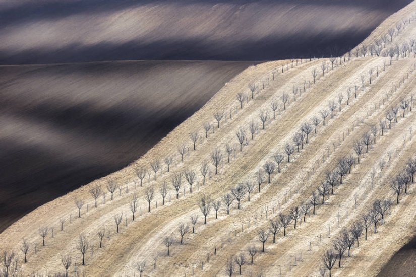 15 hermosas fotografías de paisajes premiadas en los premios Fine Art Photography Awards 2024