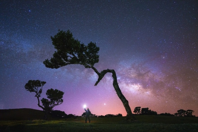 15 hermosas fotos de la mística de los bosques en la isla de Madeira