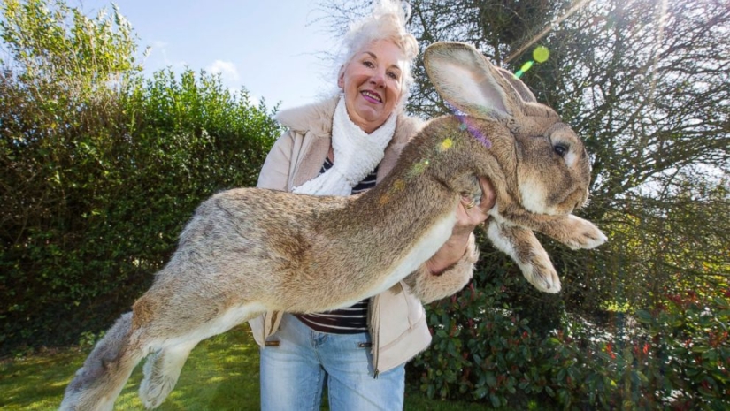 15 inconcebiblemente gigantescos animales que existen en la realidad