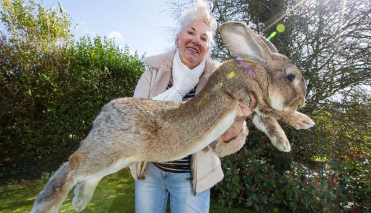 15 inconcebiblemente gigantescos animales que existen en la realidad