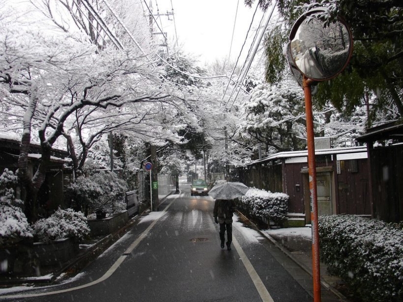 15 ingeniosas soluciones para la vida cotidiana de Japón