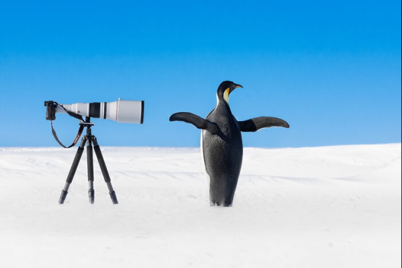 15 Mesmerizing Images That Captured Nature’s Beauty And Diversity, Selected By NBP Awards 2024