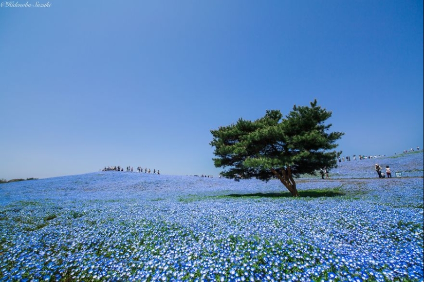 15 most beautiful places in Japan