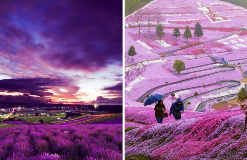 15 non-touristic places where the real character of each country is visible
