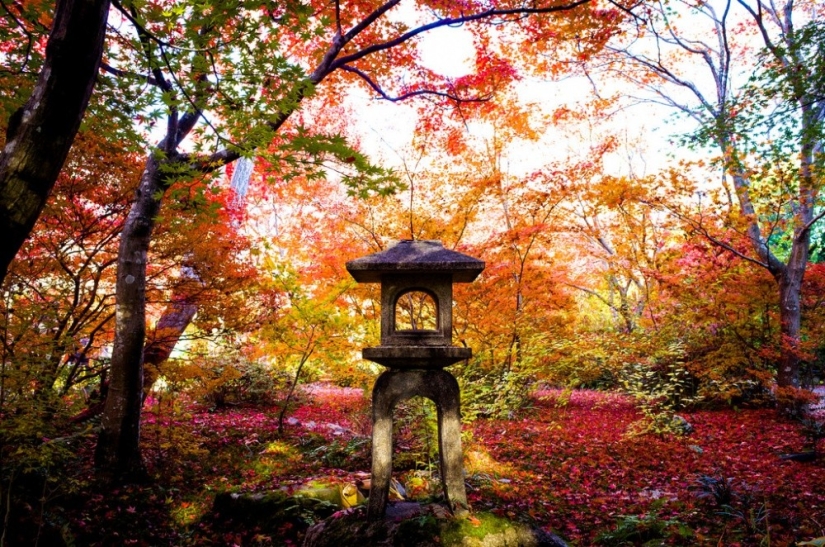 15 places where autumn is especially beautiful