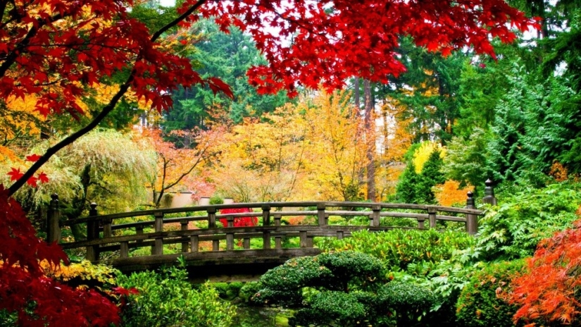 15 places where autumn is especially beautiful