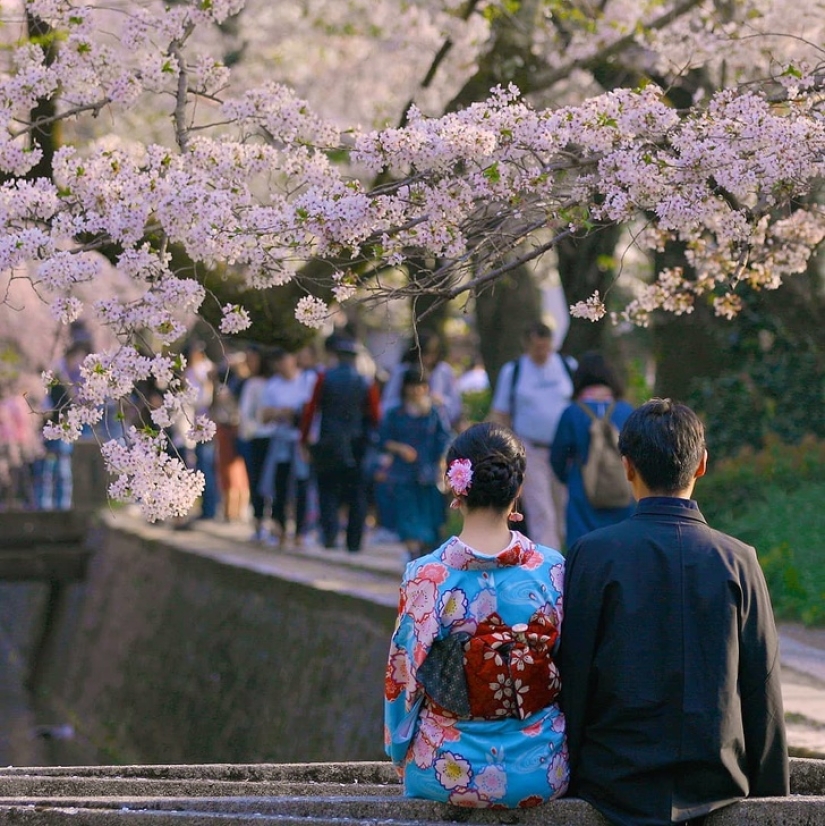 15 principios de la vida japonesa que los ayudan a mantenerse felices