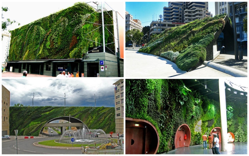 15 vertical gardens around the world