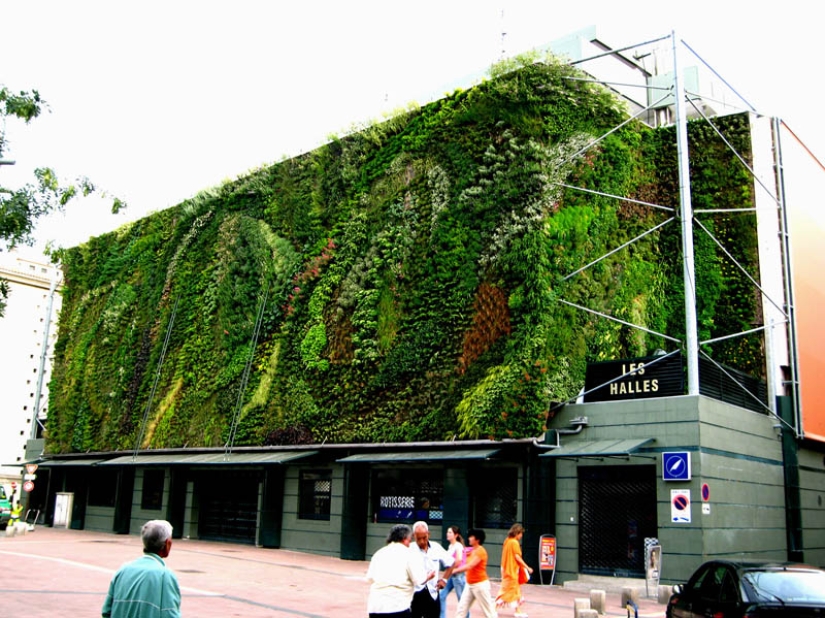 15 vertical gardens around the world