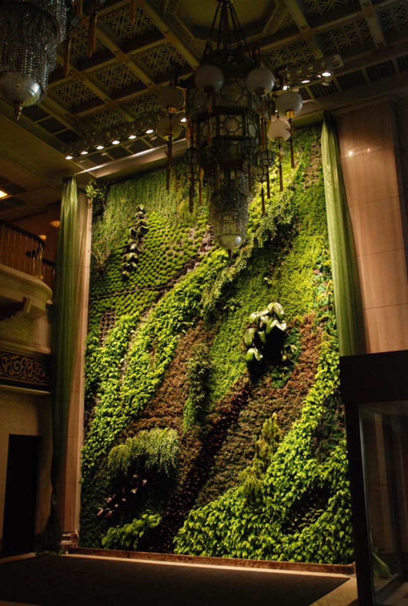 15 vertical gardens around the world