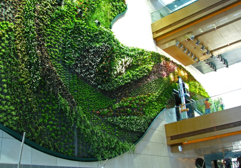 15 vertical gardens around the world