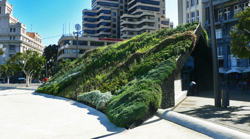 15 vertical gardens around the world