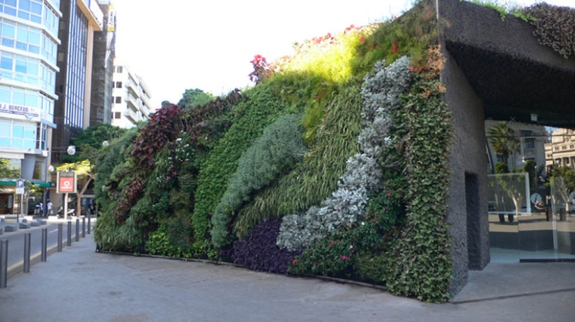 15 vertical gardens around the world